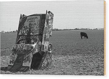 Route 66 Cadillac Ranch Photograph By Frank Romeo
