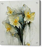 Daffodils #12 Acrylic Print