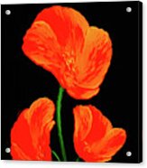 Poppy With Texture Acrylic Print