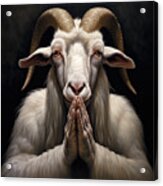 The Praying Goat Acrylic Print