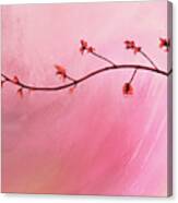 Abstract Maple Flower Branch Canvas Print