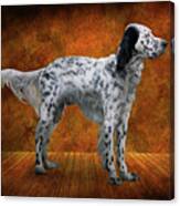 Animal - Dog - The English Settershow Canvas Print