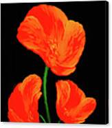 Poppy With Texture Canvas Print