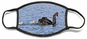 Black Swans Face Mask Black Swans Face Mask