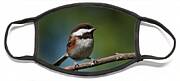 Chestnut Backed Chickadee Perched On A Branch Face Mask Chestnut Backed Chickadee Perched On A Branch Face Mask