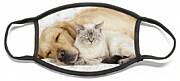 Golden Retriever And Cat Face Mask Golden Retriever And Cat Face Mask