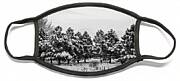 Snowy Winter Pine Trees In Black And White Face Mask Snowy Winter Pine Trees In Black And White Face Mask