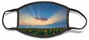 Sunflower Field At Sunset Face Mask Sunflower Field At Sunset Face Mask