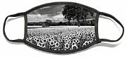 Sunflowers In Black And White Face Mask Sunflowers In Black And White Face Mask
