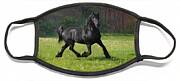 Friesian Power Face Mask Friesian Power Face Mask