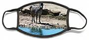 Zebra At The Watering Hole Face Mask Zebra At The Watering Hole Face Mask