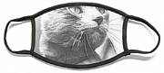 Grey Cat Posing, Black And White Sketch Face Mask Grey Cat Posing, Black And White Sketch Face Mask