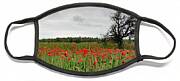 Field Full Of Red Beautiful Poppy Anemone Flowers And A Lonely Dry Tree. Spring Time, Spring Landscape Cyprus. Face Mask Field Full Of Red Beautiful Poppy Anemone Flowers And A Lonely Dry Tree. Spring Time, Spring Landscape Cyprus. Face Mask