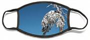 Winter Landscape In Snowy Mountains. Frozen Snowy Lonely Fir Trees Against Blue Sky. Face Mask Winter Landscape In Snowy Mountains. Frozen Snowy Lonely Fir Trees Against Blue Sky. Face Mask