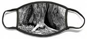 Hollow Tree Trunk In Black And White Face Mask Hollow Tree Trunk In Black And White Face Mask