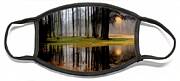 Mysterious Forest Reflections Abstract Painting Face Mask Mysterious Forest Reflections Abstract Painting Face Mask