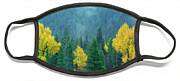 Narrowleaf Cottonwoods And Blur Spruce Trees In Grand Tetons Face Mask Narrowleaf Cottonwoods And Blur Spruce Trees In Grand Tetons Face Mask