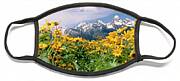 Panoramic Balsamroot Below The Teton Range Face Mask Panoramic Balsamroot Below The Teton Range Face Mask