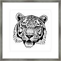 Amur Tiger Face Big Cat Ink Illustration Framed Print
