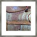 Rusty Beetle Detail Framed Print