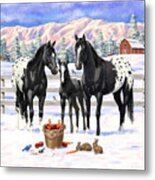 Black Appaloosa Horses In Snow Metal Print