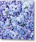 Lilacs And Forget Me Nots Metal Print