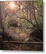 The Way To The Rabbit Hole Metal Print