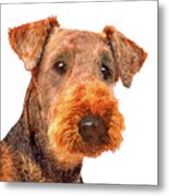 Totally Adorable, Airedale Terrier Dog Metal Print