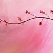 Abstract Maple Flower Branch Poster
