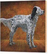 Animal - Dog - The English Settershow Wood Print