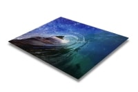 Metal Print - Back View Metal Print - Front View